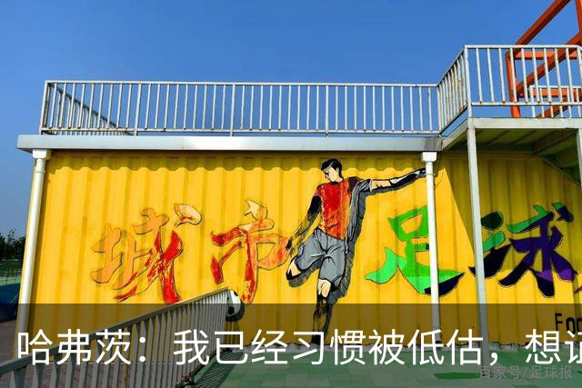 哈弗茨：我已经习惯被低估，想证明德国队仍处于它应该在的位置